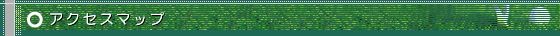 ANZX}bv